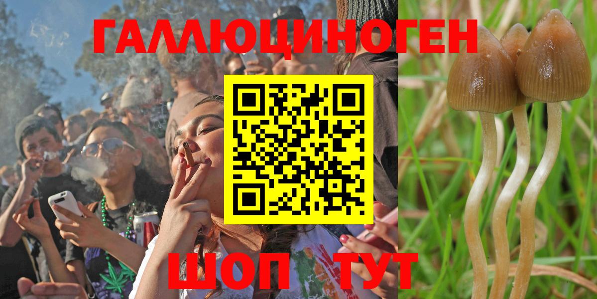 Кубинка  цены наркотик  Галлюциногенные грибы MAGIC MUSHROOMS  Вход с VPN  Псилоцибиновые грибы Psilocybine cubensis 